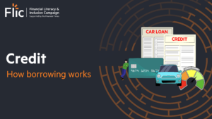 How borrowing works